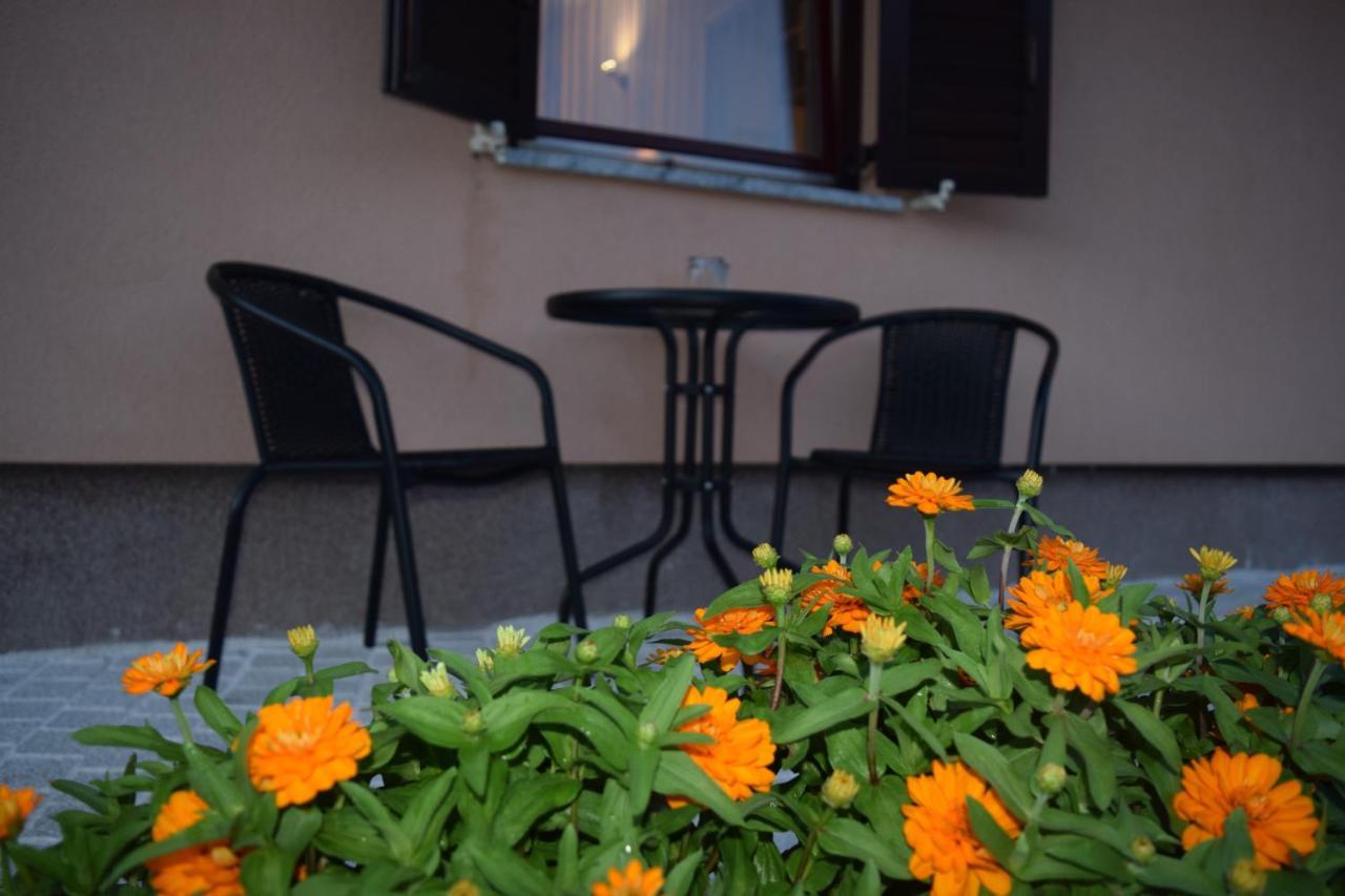 Apartman Nino Novigrad  Екстер'єр фото